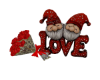 LOVE GNOMO 25