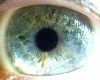 Bleu/green Eyes