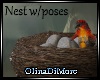 (OD) Nest with poses