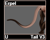 Erpel Tail V3