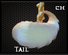 [CH] Nuci Tail