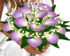 Purple Calla Lily 