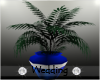Blue Vase Wedding Plant