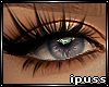 !iP Winter Blue Eyes