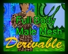 Full BodyMesh Male
