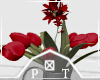 Red Spring Tulips