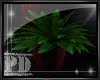 [PD]Black n Red Plant