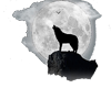 Howl at the moon