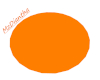 Round Orange Rug