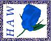 Blue Rose