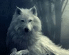 Epic Music-White Wolf..