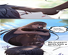 Mistress Manhua 17