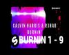 C.HARRIS R3HAB BURNIN