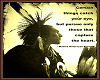 Native American banner