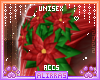 🌸; Cocoa Poinsettia