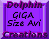 [DOL]GIGA Size Avi M/F