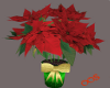 Christmas Poinsettia V2