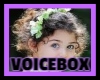 Kids Voicebox