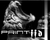 FFD-Awaken Tiger Print 2