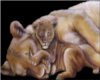 [FA] Lioness & Cub