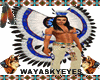 waya!NativePowWowBustle