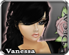 rd| Vintage Vanessa