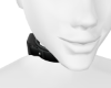 Sugar's Collar