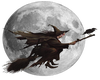 WITCH ON A BROOM