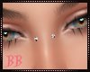 BB|Bridge Nishma