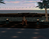 Exotica Seaside Beach