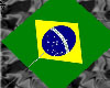 ~Brazil Hand Held Flag