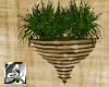 [ASK] Bamboo Wall Plant