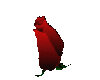 Red Animated Rose
