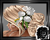 ANNE Blonde/White Rose