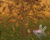 ID* Autumn Park Tree
