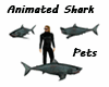 Shark Pets