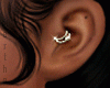 Gold Daith Ear Piercing
