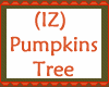 (IZ) Pumpkins Tree