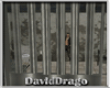 A DAY INTO JAIL CELL DD*