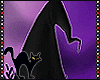 S|Halloween Witch Hats