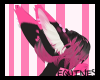 [E] Linnie Ears1