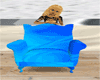 Skyblue Pose Chair