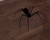 Spider anim