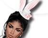 )Ѯ(Issa Bunny Hat/Ears