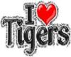 I Love Tigers