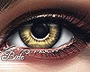 B! Goldie Eye - F