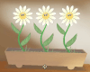 Happy animated flowers
