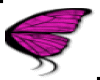 .MM.Bfly Wings-Pink