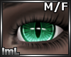 lmL Rise Enchanted2 M/F