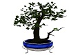 Blue planter tree